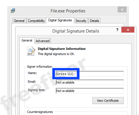 Screenshot of the Gross LLC. certificate